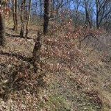 ARMOSPOL CZ-BETONÁŘSKÉ VÝZTUŽE