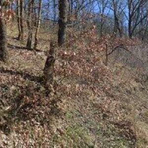 obrazek: avatar ARMOSPOL CZ-BETONÁŘSKÉ VÝZTUŽE