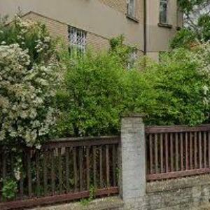 obrazek: avatar NEJLEVNEJSIPROJEKTORY.CZ