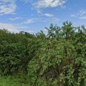 obrazek: avatar IPASMONT-OCELOVÉ KONTRUKCE s.r.o.