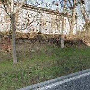 obrazek: avatar TREECLIMBERS-KÁCENÍ STROMŮ s.r.o.