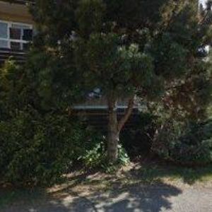 obrazek: avatar FLEISNER LADISLAV