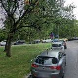 KOMINICTVÍ VEDRA s.r.o.