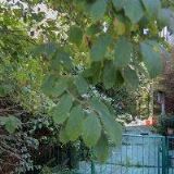 KOMÍNY CHADIM s.r.o.