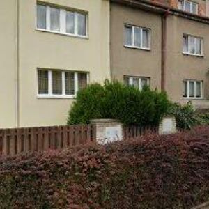 obrazek: avatar SMEJKAL RADEK