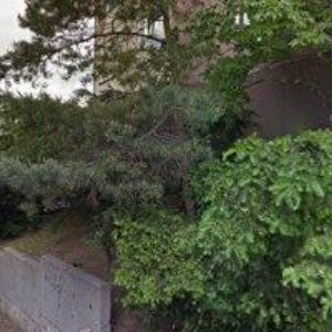 obrazek: avatar MALÍŘI POKOJŮ PRAHA