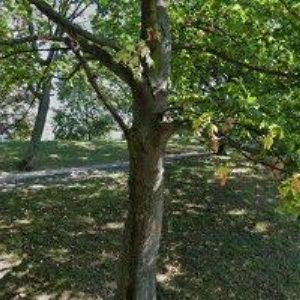 obrazek: avatar BEDRNA EDUARD