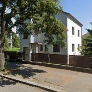 obrazek: avatar SACHL DAVID