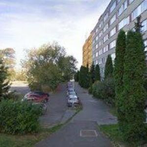 obrazek: avatar PROFIMALIR.CZ