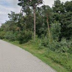 obrazek: avatar MÁČEL ALEŠ