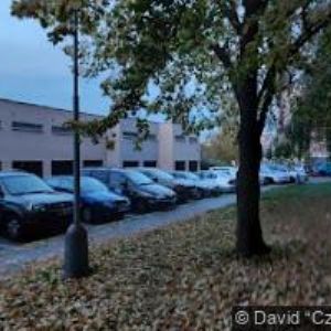 obrazek: avatar MF PODLAHY