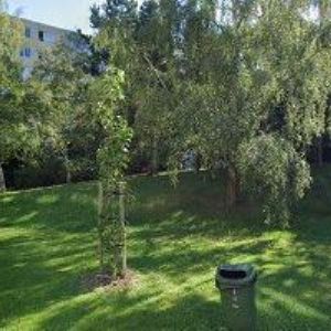 obrazek: avatar HUDEČEK LUMÍR