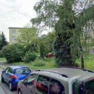 obrazek: avatar DOKOUPIL TOMÁŠ