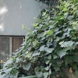 ARKÁDA TRADE, spol. s r.o.