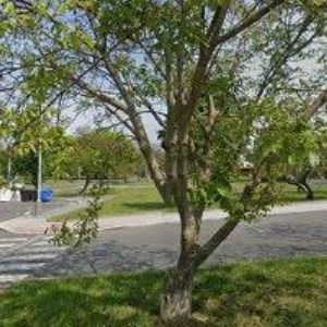 obrazek: avatar ANTREA, s.r.o.