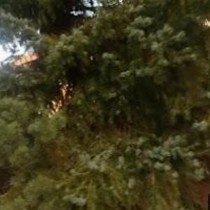 obrazek: avatar KARASEK ROMAN