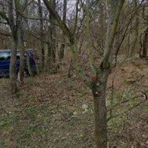 obrazek: avatar VLTAVSKÉ ZAHRADNICTVÍ