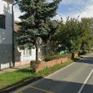 obrazek: avatar PALKOWITSCHIA spol. s r.o.