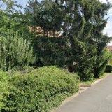 DUŠEK MARTIN-JEHLIČNANY