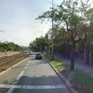 obrazek: avatar TRIFYT