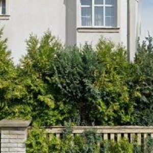 obrazek: avatar ŠTUKMRAMOR, spol. s r.o.