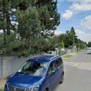 obrazek: avatar ALABASTER-ŠTUKATÉRSTVÍ A RESTAURÁTORSTVÍ