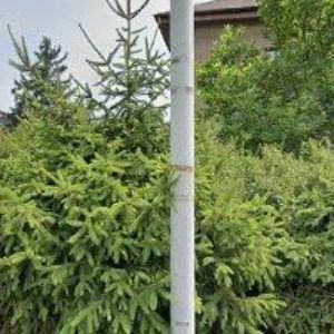 obrazek: avatar KAVALE ANTONÍN