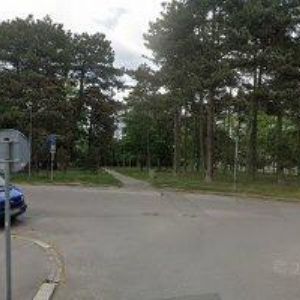 obrazek: avatar MILEV DIMITR