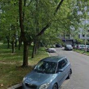 obrazek: avatar SMÍŠEK PETR-ÚKLIDOVÉ SLUŽBY