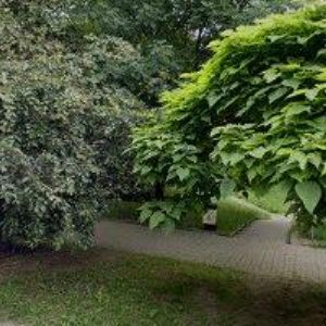 obrazek: avatar OK ÚKLID s.r.o.