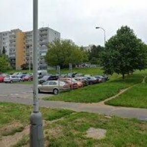 obrazek: avatar ŠEDINA JIŘÍ