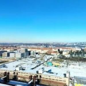 obrazek: avatar VEKTEX