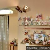 AGENTURA HAUS SERVIS spol. s r.o.