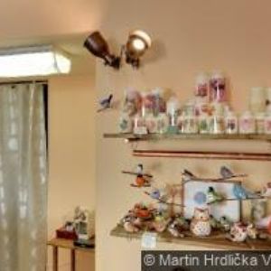 obrazek: avatar AGENTURA HAUS SERVIS spol. s r.o.