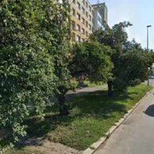 obrazek: avatar TETY NA HLÍDÁNÍ