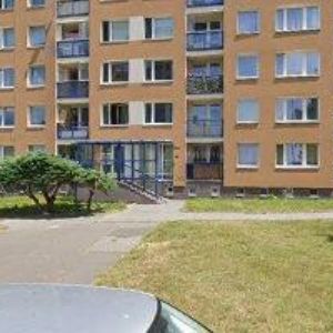 obrazek: avatar ŠOLÍNOVÁ JANA