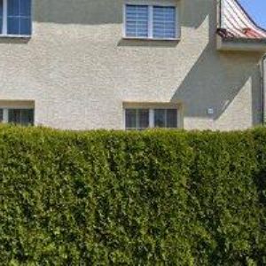 obrazek: avatar PROFIVYSAVAČE.CZ