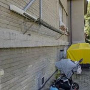 obrazek: avatar MERTOVÁ PAVLÍNA-ATELIÉR PEXESO