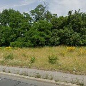 obrazek: avatar THOMAYEROVA NEMOCNICE