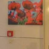 SPOLEČNOST DUHA z.ú.