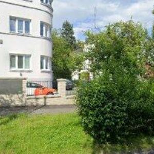 obrazek: avatar DOMÁCÍ PÉČE VČELKA PRAHA s.r.o.