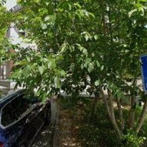 obrazek: avatar ALZHEIMER HOME z.ú.