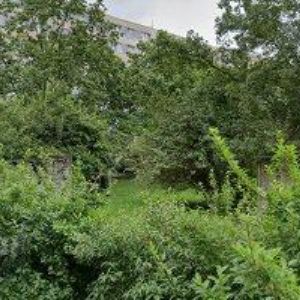 obrazek: avatar ASANA SERVIS s.r.o.