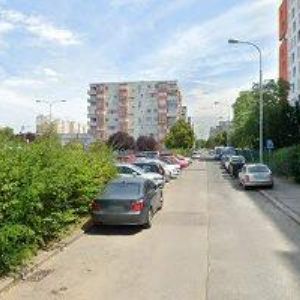 obrazek: avatar ŠVEHLA MILAN