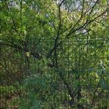 KODYMOVA 2537-2539 PRAHA 5