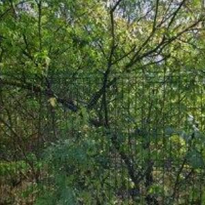 obrazek: avatar KODYMOVA 2537-2539 PRAHA 5