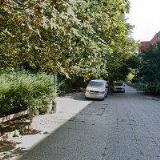 SPOLEČENSTVÍ PETRŽÍLKOVA 2486-2491