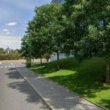 WHITE STAR REAL ESTATE