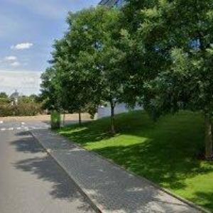 obrazek: avatar WHITE STAR REAL ESTATE