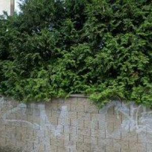 obrazek: avatar KBELÍK